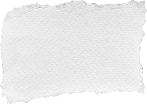 White Torn Paper Piece