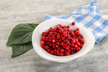 Ripe sweet wild organic cowberry