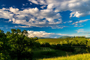 Spring sunset in the vineyards of Rosazzo