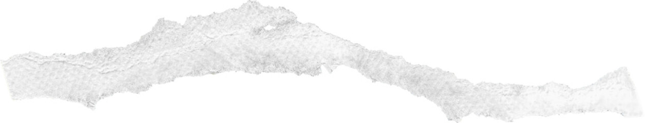 White Torn Paper Strip