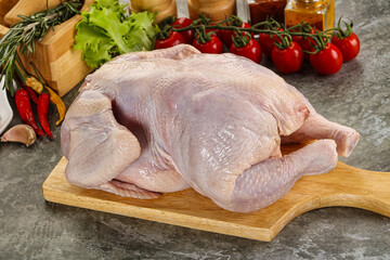 Raw whole chicken for cooking