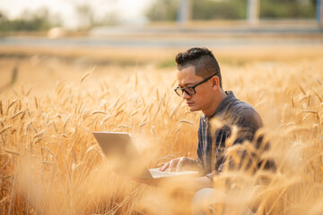 Farmer giving advice on wheat work online on tablet in wheat field