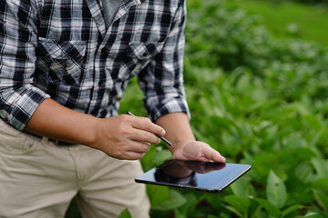 Obraz na płótnie Canvas Farmer giving advice on wheat work online on tablet in wheat field
