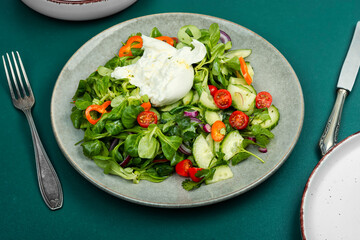 Portion of popular fresh burrata salad.