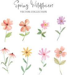 Watercolor Spring Floral Vector Collection