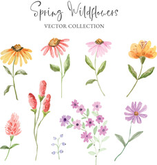 Watercolor Spring Floral Vector Collection
