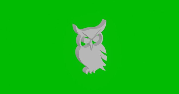 Animation of rotation of a white owl symbol with shadow. Simple and complex rotation. Seamless looped 4k animation on green chroma key background