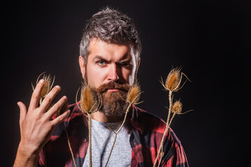 Well-groomed beard. Care for your beard. Beard bristled. Male prickly stubble concept. The prickly...