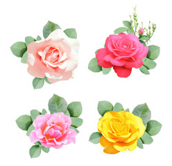 Set of pink, yellow and red rose flowers and green leaf. Collection of rose flower with leaves. Isolated on white background