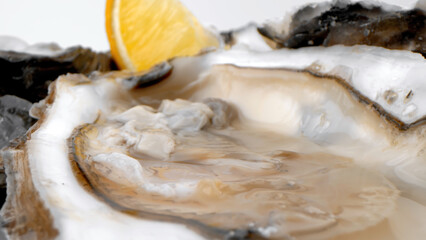 A plate of oysters with lemon on a gray background. Served with oysters and lemon. Fresh oysters close up. Healthy sea food. Oyster dinner in a restaurant. Oysters with lemon.
