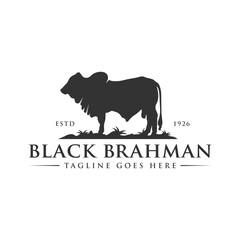 Obraz premium black brahman cow logo