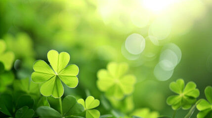 A green leafy plant with a green leaf that has a heart shape