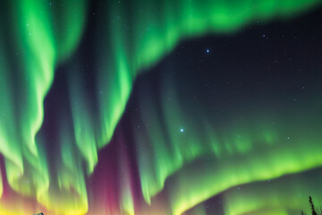 Northern Lights, Beautiful Colors and Shining Lights