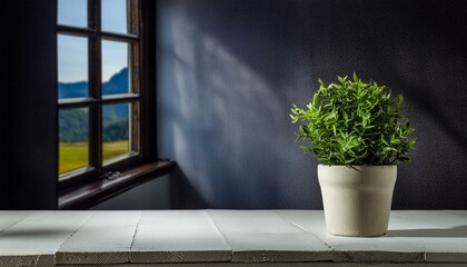 plant in a window, White desk of free space, wall with shadows, texture, background, Ai Generate