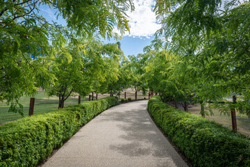 path in the park