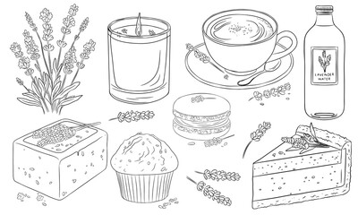 collection of line art drawings featuring lavender infused products. Outline illustration such as a candle, coffee, lavender water,  fresh blooms,  macaron, muffin, cookies, cheesecake, soap