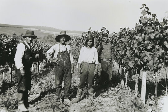 A 1920s-style black-and-white photo that looks like it was taken of farmers posing in a European vineyard.