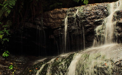 beautiful vattakanal waterfall on levinge stream, in a tropical rainforest on the foothills of palani mountains at kodaikanal in tamilnadu. india