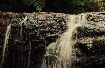 beautiful vattakanal waterfall on levinge stream, in a tropical rainforest on the foothills of...