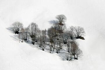 close up shot over leafless trees, above a snowy mountain and beautiful snow mountain peaks. Winter...