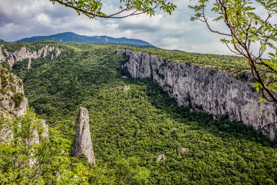 Lime columns in Vela Draga Canyon, Ucka Nature Park, Istria, Croatia