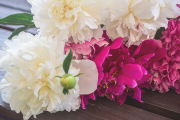 close-up photo of flowers white and pink peonies
