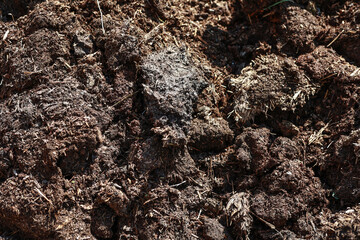 Natural cow fertilizer from the farm.