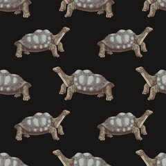 Pinta island turtle seamless pattern