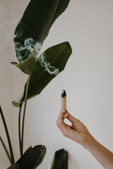 Palo Santo stick in female hand. Aromatherapy religious rituals meditation. Wellness with aromatherapy. Healing incense Palo Santo. Organic incense of the holy ritual tree