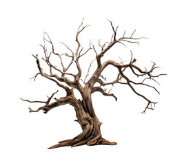 Dead tree with knotty branches isolated on transparent background. Generative AI