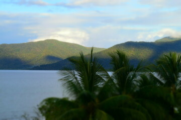 Fototapeta na wymiar Dreamlike Morning in Cairns - Tropical Serenity