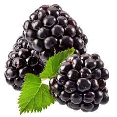 Delicious ripe blackberries, cut out, isolated on transparent background.