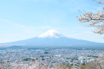 富士山と桜