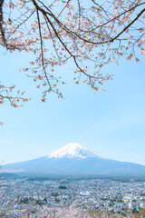富士山と桜