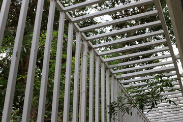 Fototapeta premium Green plants and flowers grow along a fence in a city park.