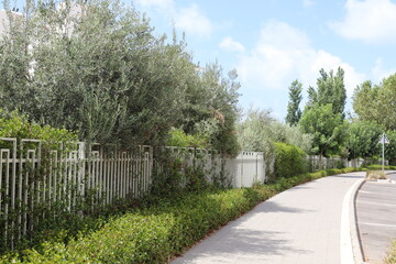 Green plants and flowers grow along a fence in a city park.