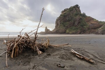Pile of diftwood on a black san beach at Piha, Auckland, New Zealand.