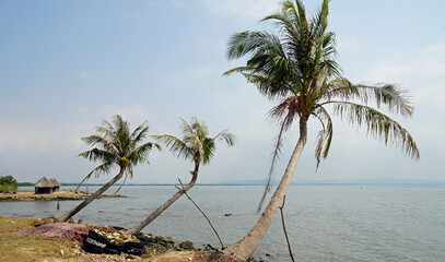 natural coconut beach near kampot