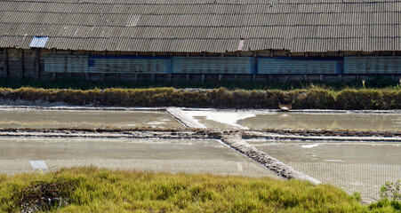 huge salt fields near kampot