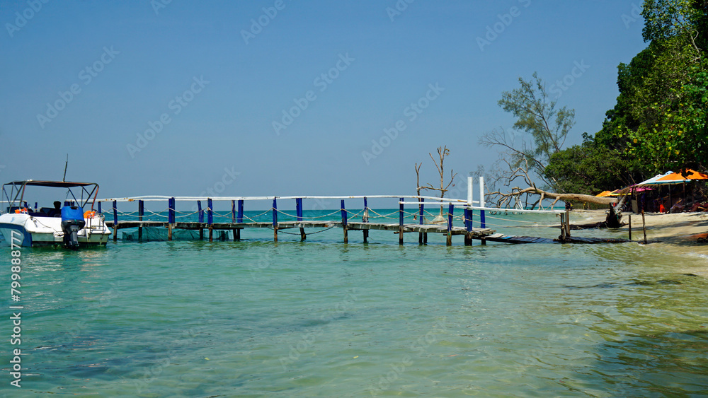 Wall mural wooden jetty on starfish beach