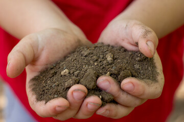 The child holds the soil in his hands. Selective focus. Kid