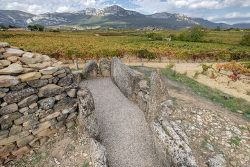 Dolmen de San Martín, época neolítica, Laguardia, Alava, País Vasco, Spain