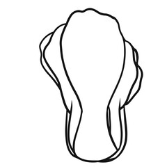 Bok Choy Outline