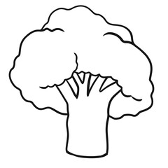 Broccoli Vegetable Drawing