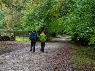 escursionistas en el Robledal de Ucieda, parque natural del Saja-Besaya, Cantabria, Spain