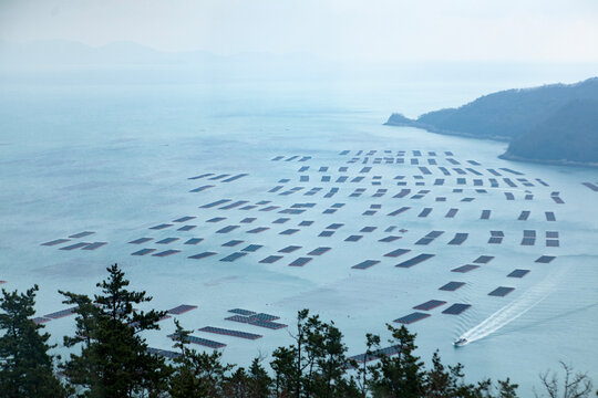 High-angle view of the sea farm