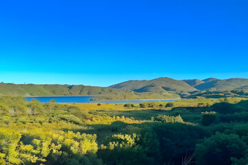 Fototapeta premium animals living in beautiful and beautiful natural nature, ai, generative, 생성