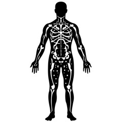 Human anatomy parts icon silhouette Vector illustration.