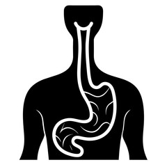 Human anatomy parts icon silhouette Vector illustration.