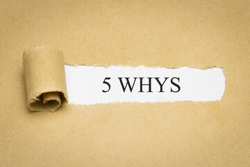 5 Whys